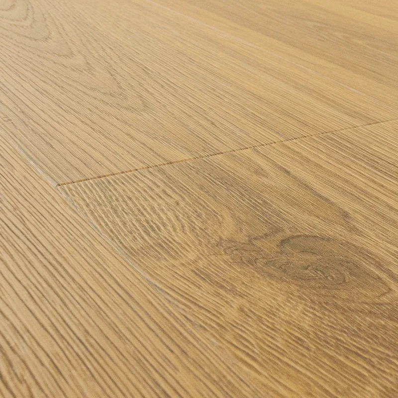 Stejar Ginger photo9